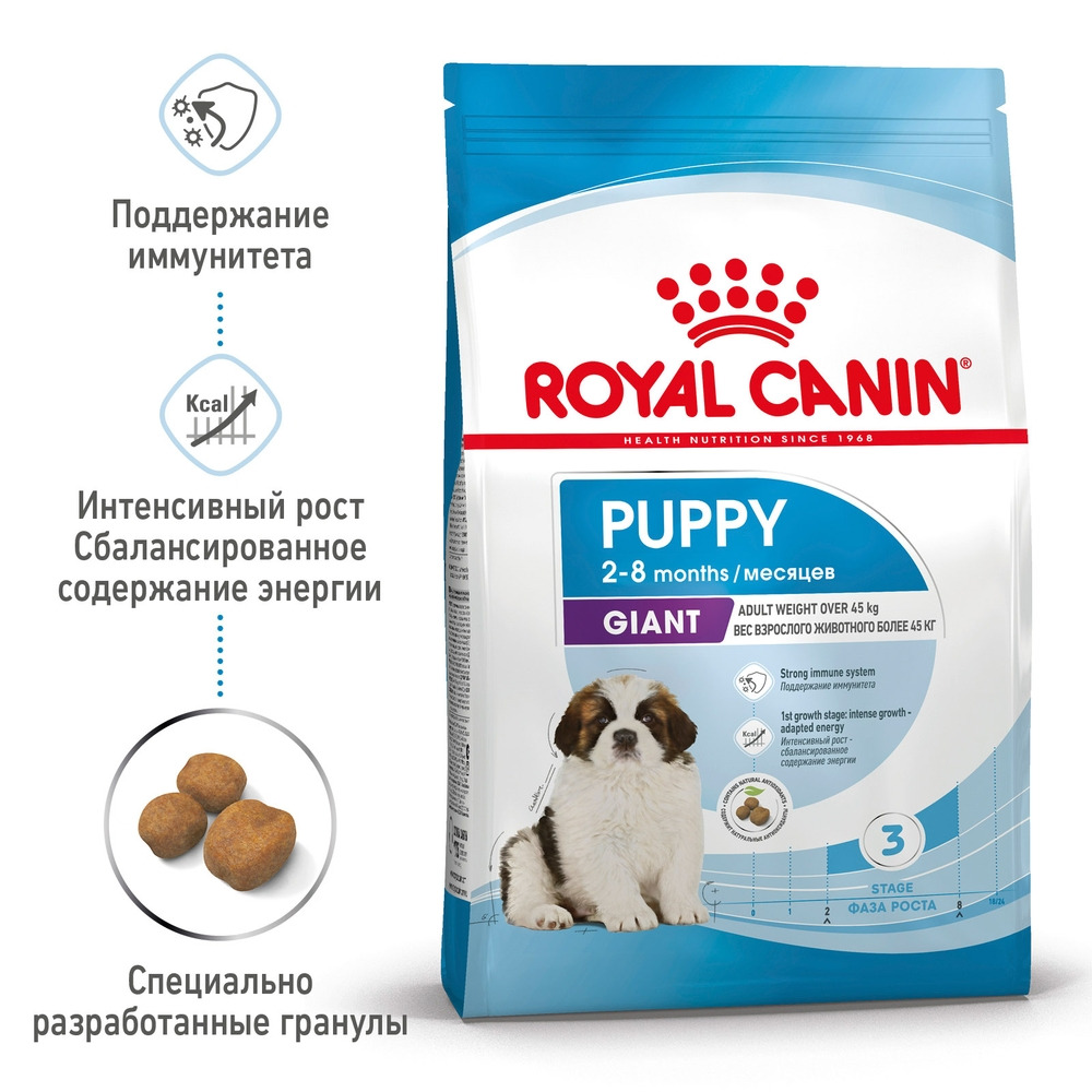 Royal Canin Giant Puppy полнорационный сухой корм для щенков гигантских  пород с 2 до 8 месяцев | Купить в Архангельске