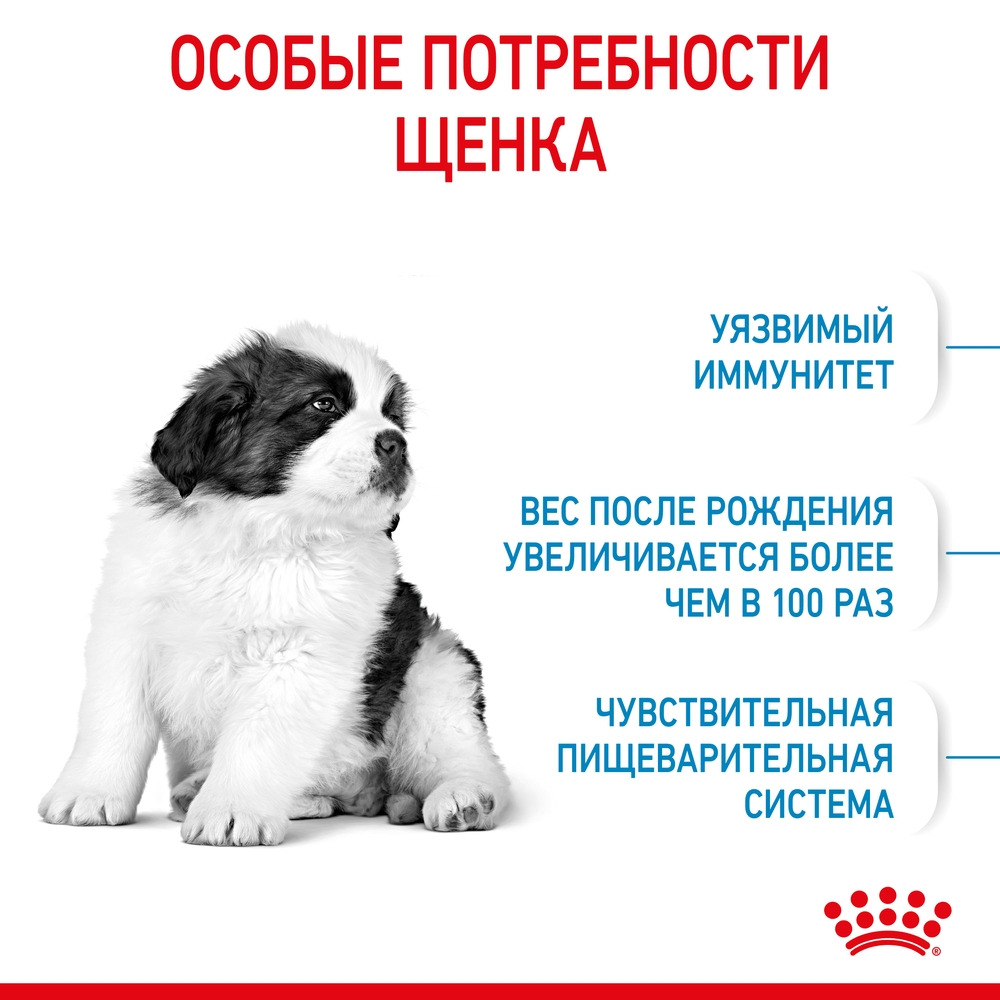 Royal Canin Giant Puppy полнорационный сухой корм для щенков гигантских  пород с 2 до 8 месяцев | Купить в Архангельске