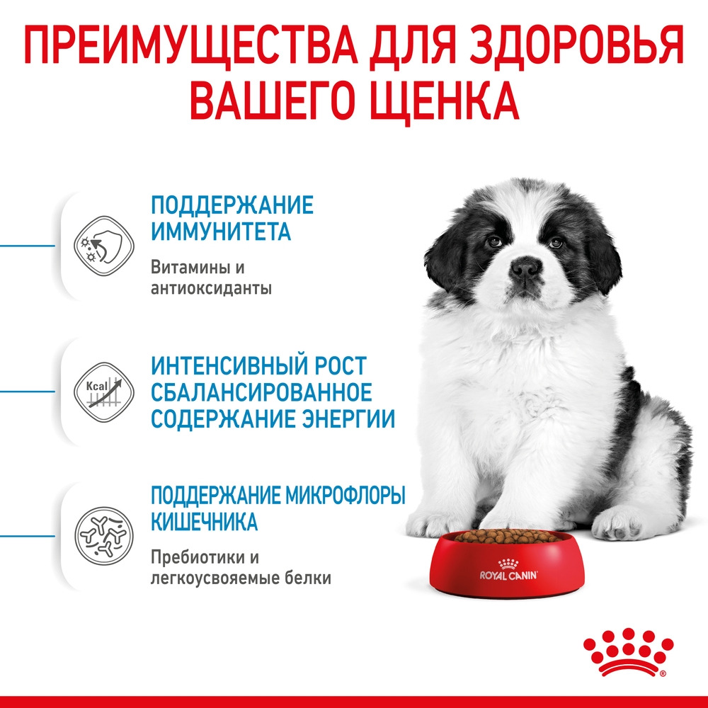 Royal Canin Giant Puppy полнорационный сухой корм для щенков гигантских  пород с 2 до 8 месяцев | Купить в Архангельске